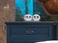 -瑞德姆美人鱼海底演艺主题餐厅(亚龙湾店)