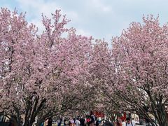 -恭王府博物馆