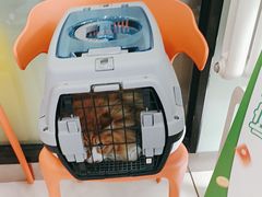 -纳吉亚猫专科动物医院博雅分院