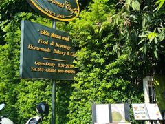 -Fern Forest Cafe