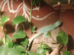 android_upload_pic-上海大自然野生昆虫馆