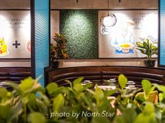 -东椰·海南椰子鸡火锅(朝阳门店)