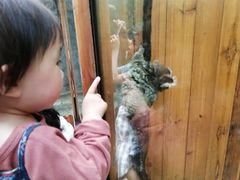 -上海大自然野生昆虫馆(东方明珠·爬宠昆虫探索中心)