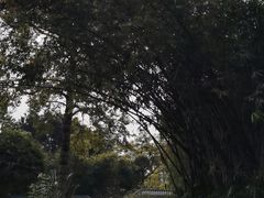 -晓港公园