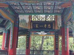 -昆明动物园