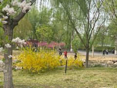-莲花池公园
