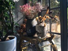 -舍咖啡 Anchor coffee