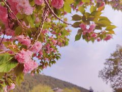 -云龙湖旅游景区