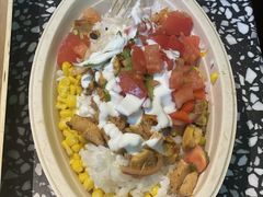 -油梨树AVOCADO TREE(顺义新国展店)