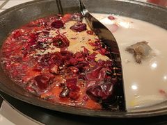 -朱光玉火锅馆(正弘城店)