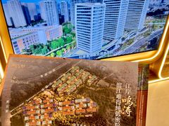 -龙湖杭州滨江天街