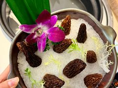 -润泽园椰子鸡(汇一城店)