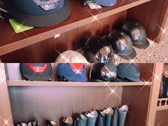 -北京群众马术培训基地