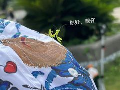 -上海月湖雕塑公园