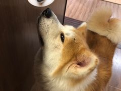 -YCHL Studios健身工作室(市二宫店)