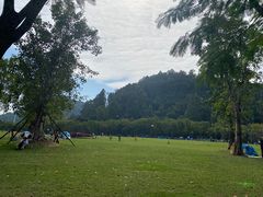 -顺峰山公园