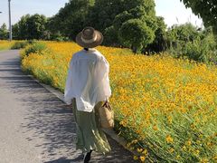 -七的湖·晚芳亭·阳澄湖农家菜·大闸蟹(莲花岛店)