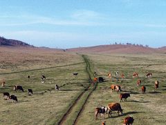 -塞罕坝国家级自然保护区