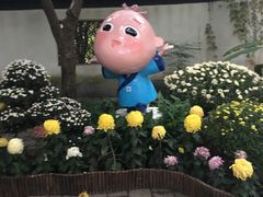 -汇龙潭