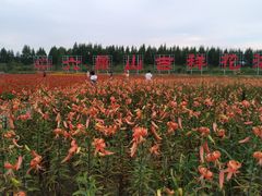 -六鼎山文化旅游区