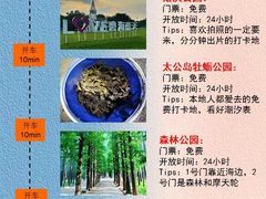 -阳光海岸露营公园