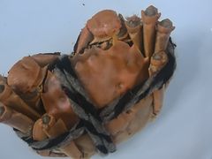 -皇朝万鑫自助餐厅