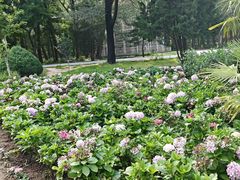 -秦皇岛野生动物园