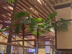 -汤连得(长清路店)