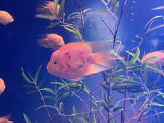 -常州海昌海洋探索馆