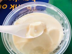 -老伴豆花(麦士威熟食中心店)