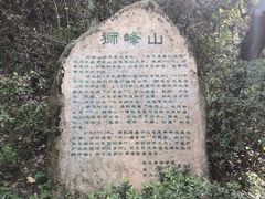 -龙井村