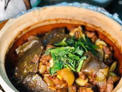 甲鱼煲-金龙·打边炉(南京西路店)