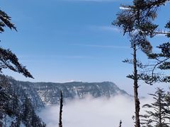 -瓦屋山景区