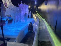 -海合安成都极地海洋公园