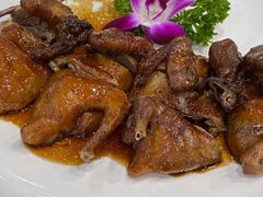 -信天游餐馆(肇庆店)