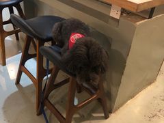 -唐咖精品咖啡(大理古城手冲店)