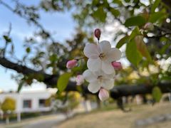-白塘生态植物园