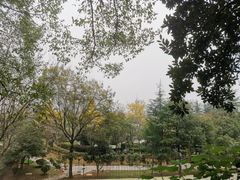 -三江森林温泉度假区