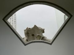 -丫丫蟹庄·苏式园林农家乐·阳澄湖大闸蟹(阳澄湖莲花岛店)