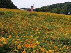 -无锡梅园公园
