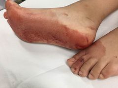 -上海棕榈滩海景酒店