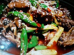 -猫头婴小酒馆FUN OWL(1912店)