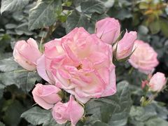 -人民公园(罗湖区)