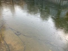 -西安曲江寒窑遗址公园