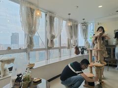 -共舞时光猫咖·狗咖(新街口店)