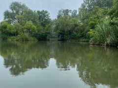 -溱湖国家湿地公园