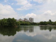 -新江湾城公园