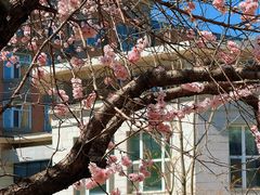 -吉林大学(南岭校区)