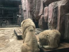 -鄂尔多斯野生动物园