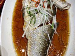 -丹江渔村(望京店)